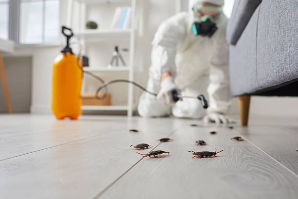 Commercial Kitchen Cockroach Control in Nissequogue